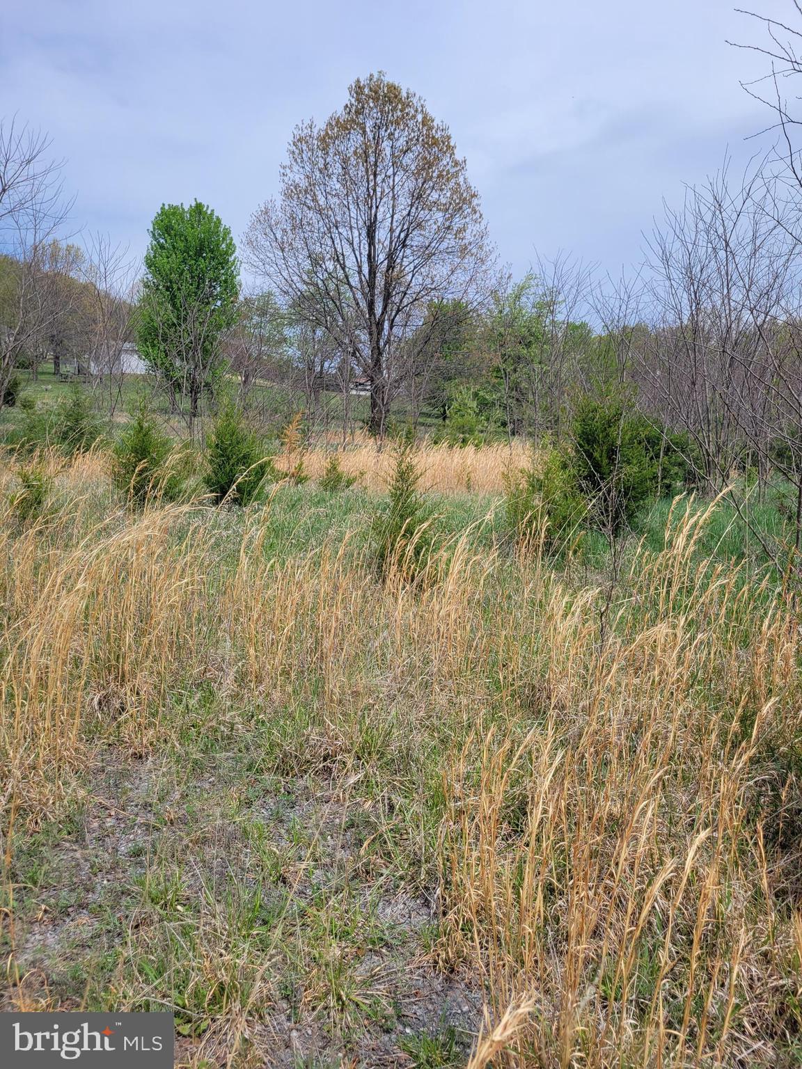 231 STONEY APPLE DRIVE