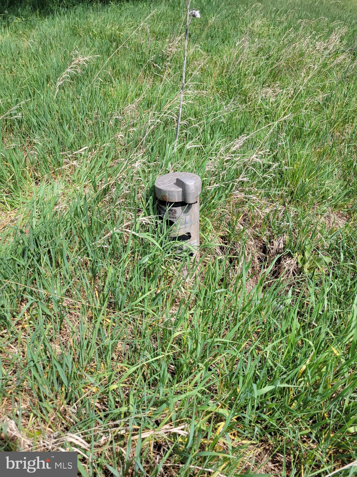 231 STONEY APPLE DRIVE