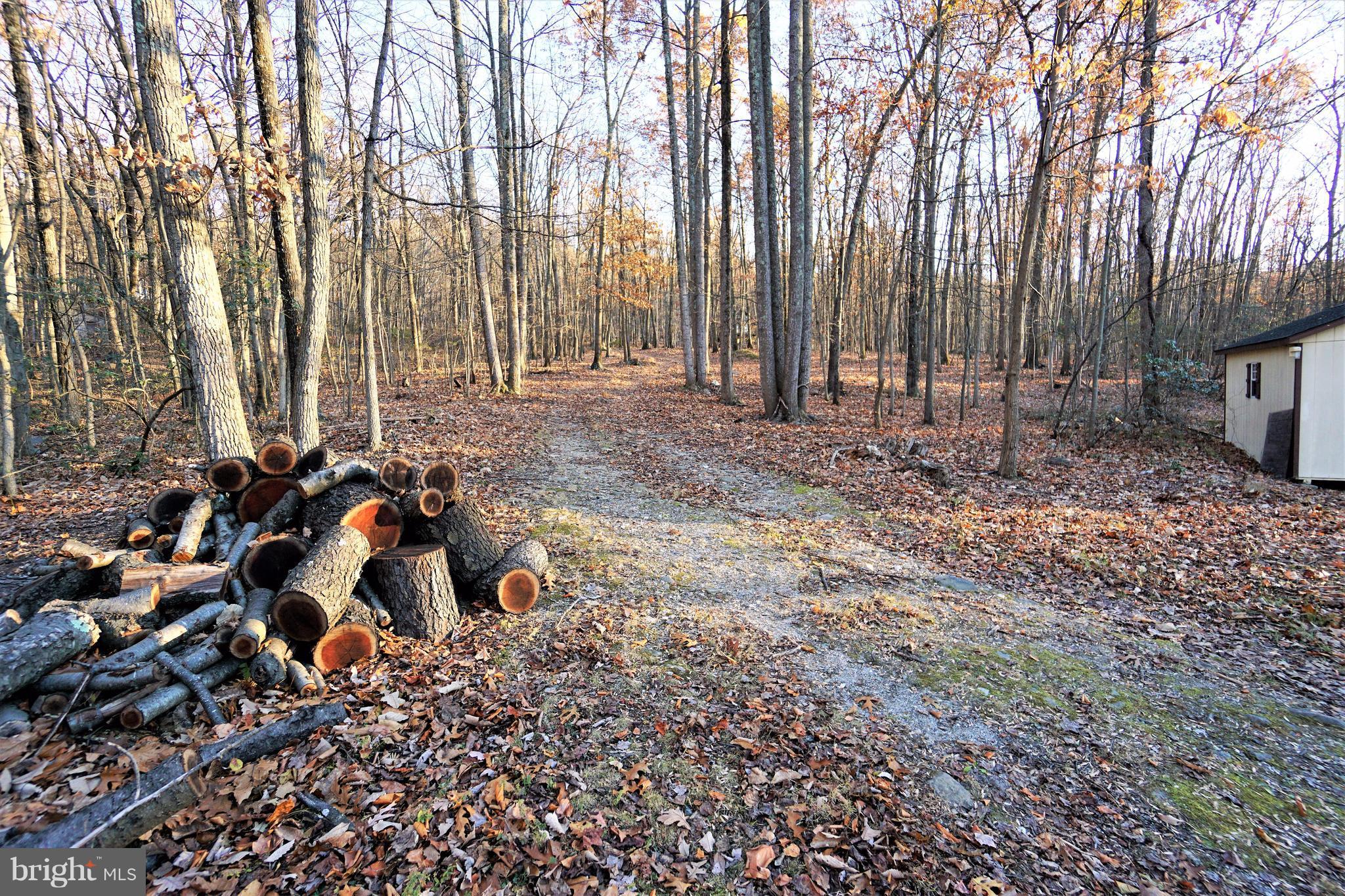 SHANNONDALE - Residential