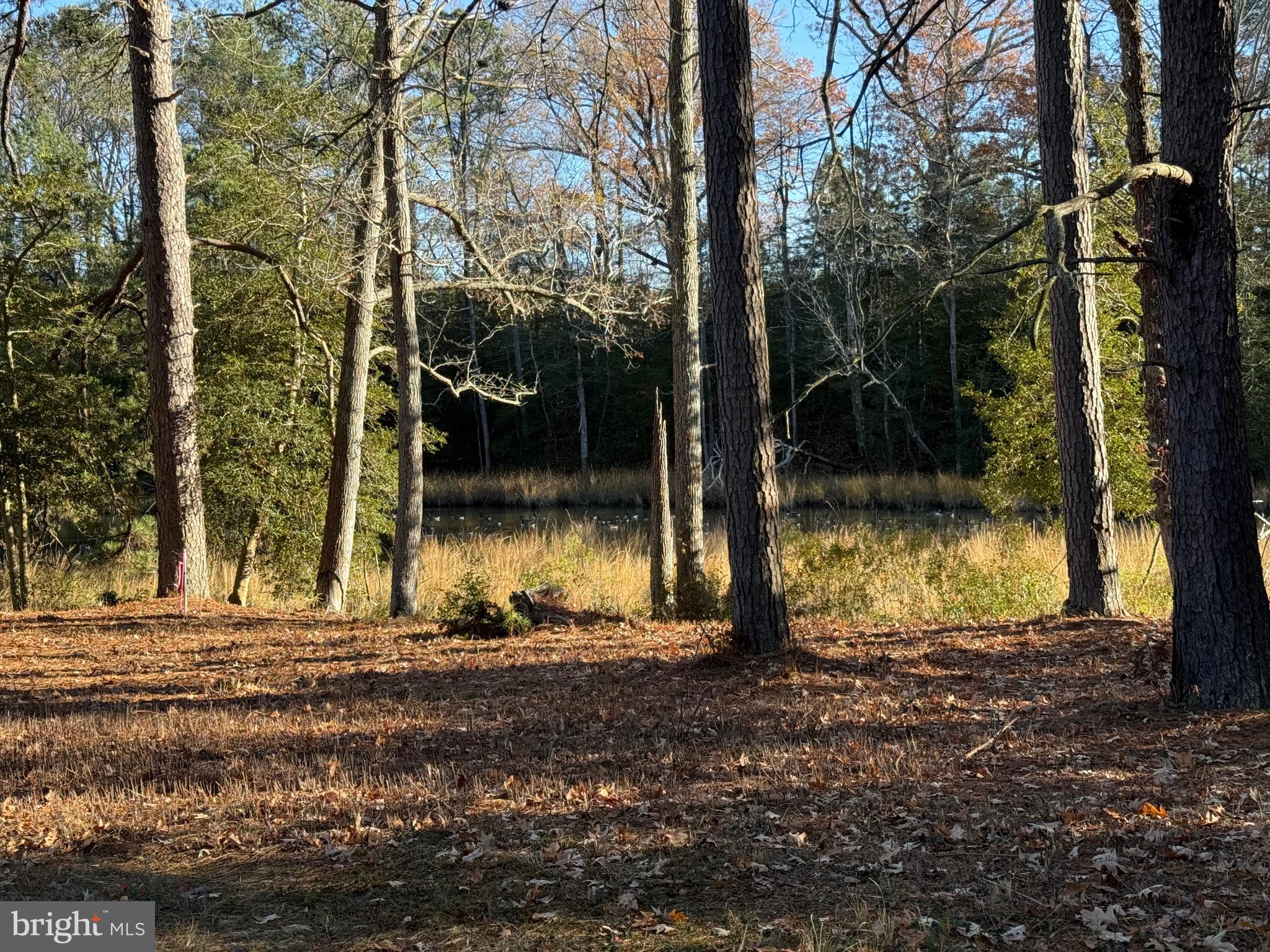 GLEBE HARBOR - Residential