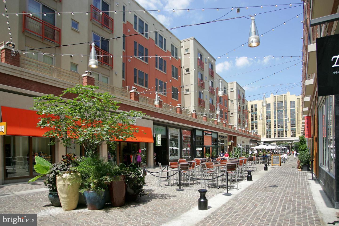 BRADLEY HILLS - Residential Lease