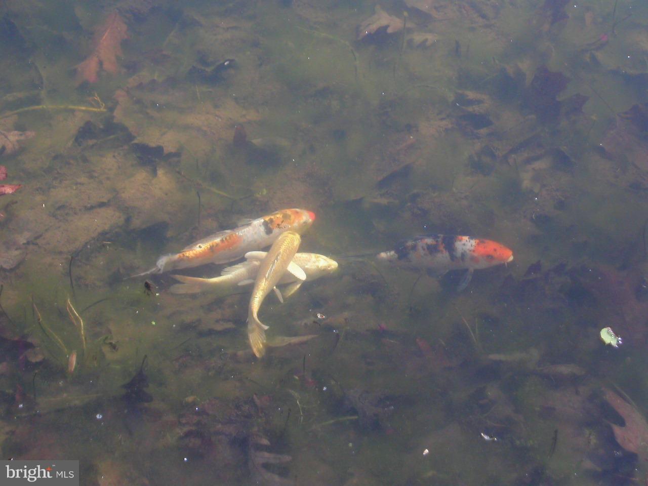 AINTREE ESTATES - Residential