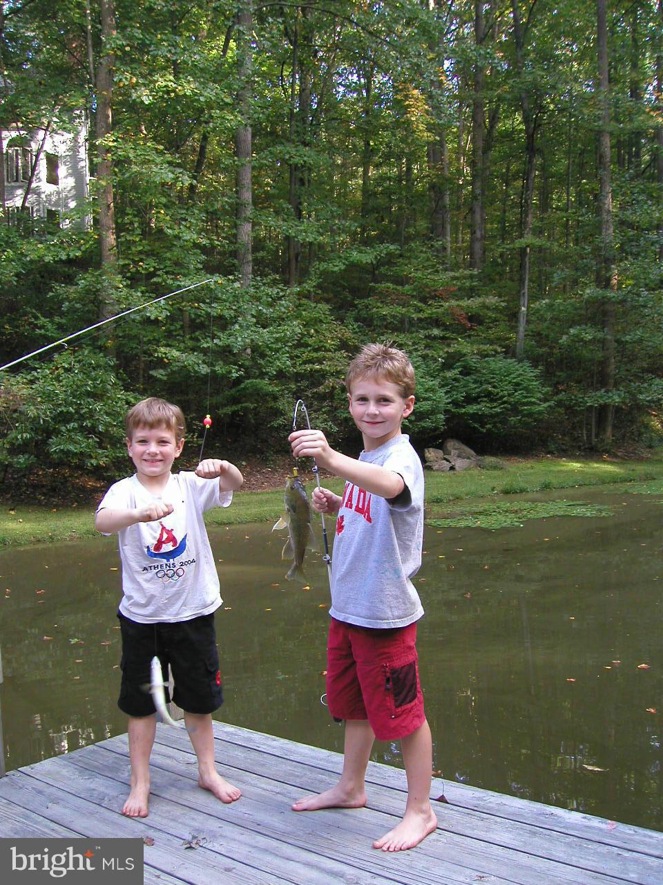 AINTREE ESTATES - Residential