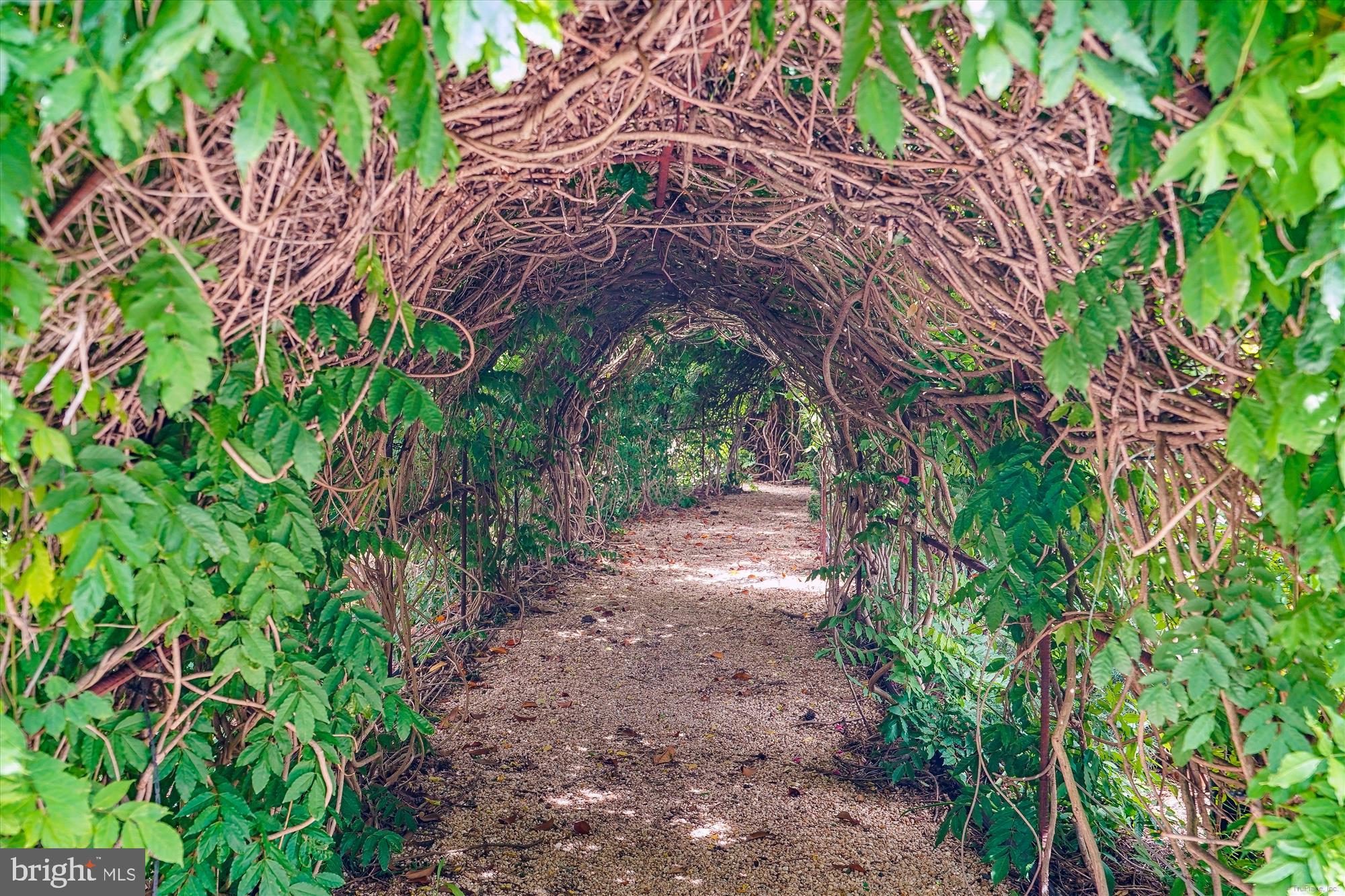 ROTONDA - Residential