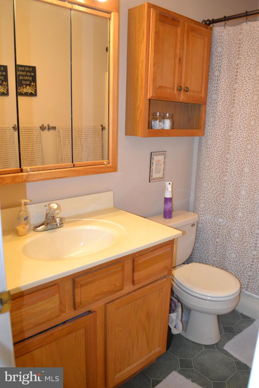 NITTANY HOLLOW - Residential