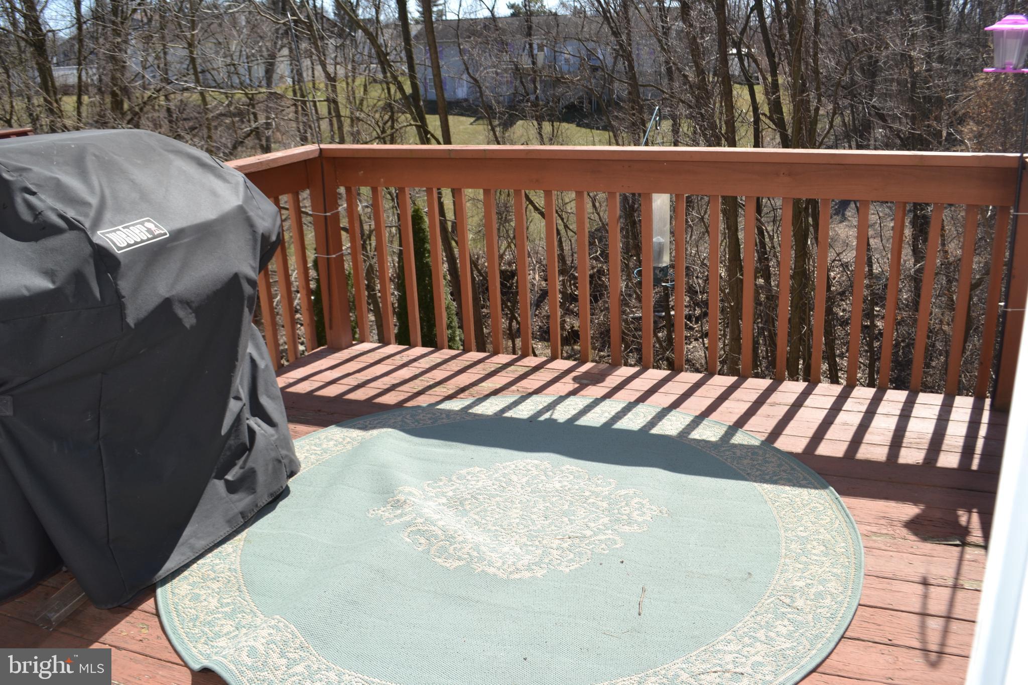 NITTANY HOLLOW - Residential