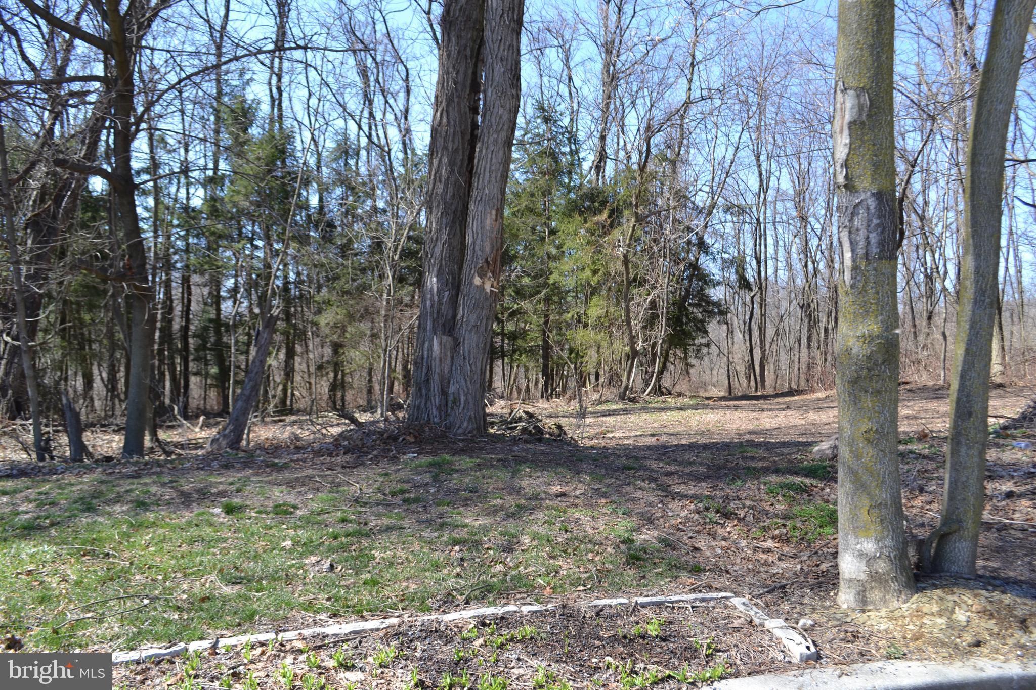 NITTANY HOLLOW - Residential