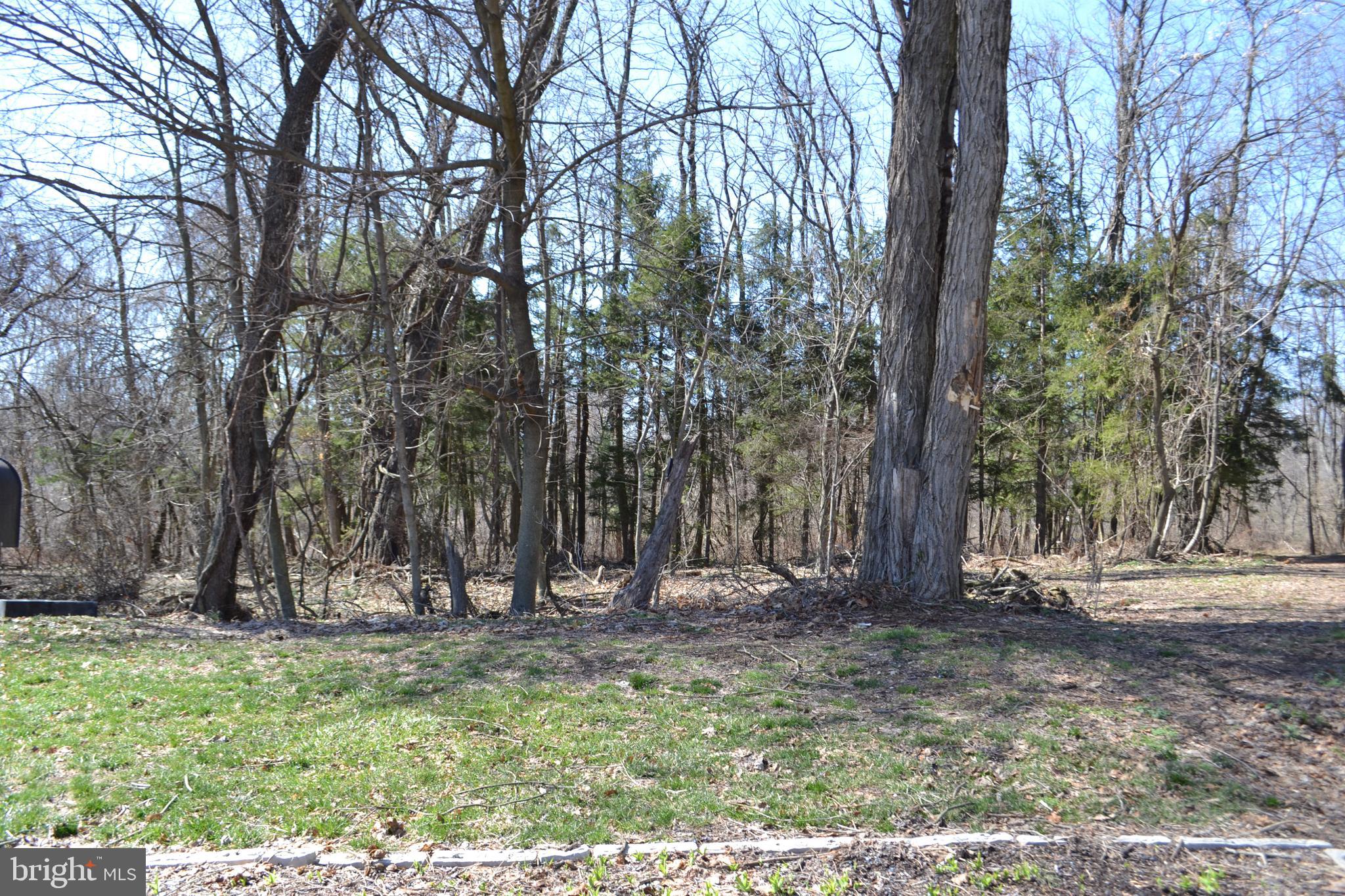 NITTANY HOLLOW - Residential