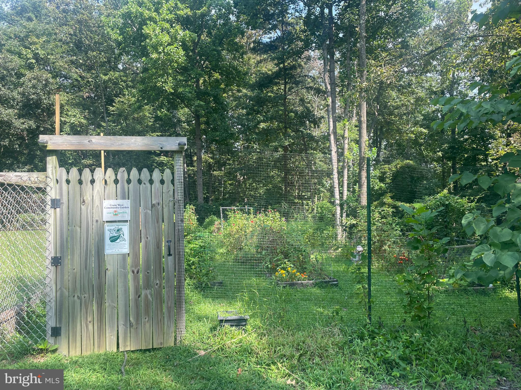 HILLENDALE - Residential