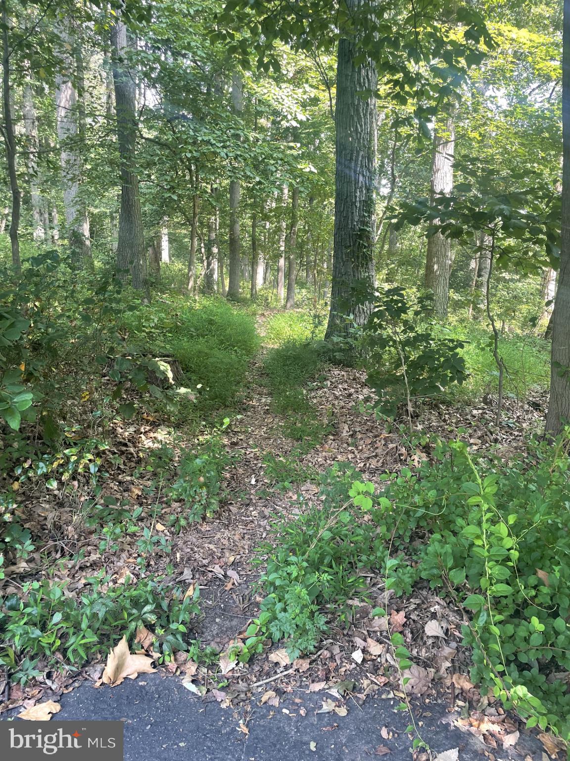 HILLENDALE - Residential