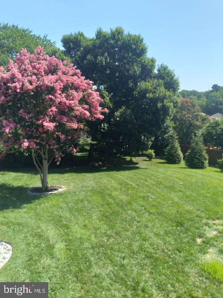 HILLENDALE - Residential