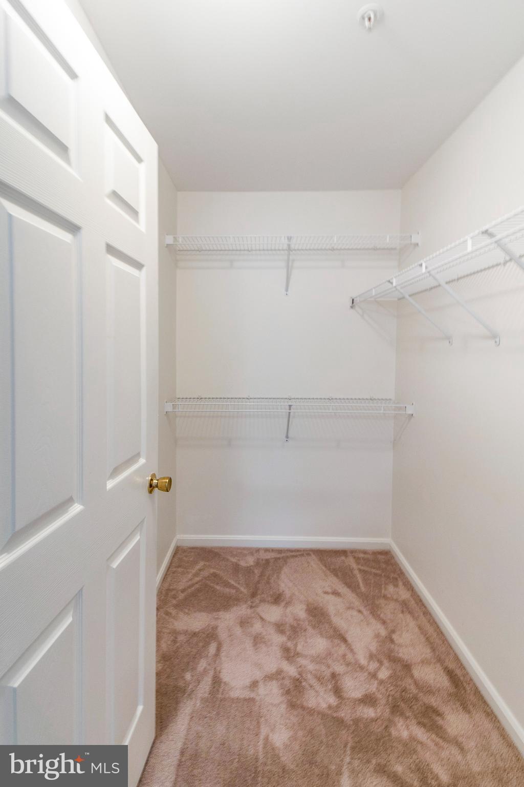 TIDEWATER COLONY - Residential Lease