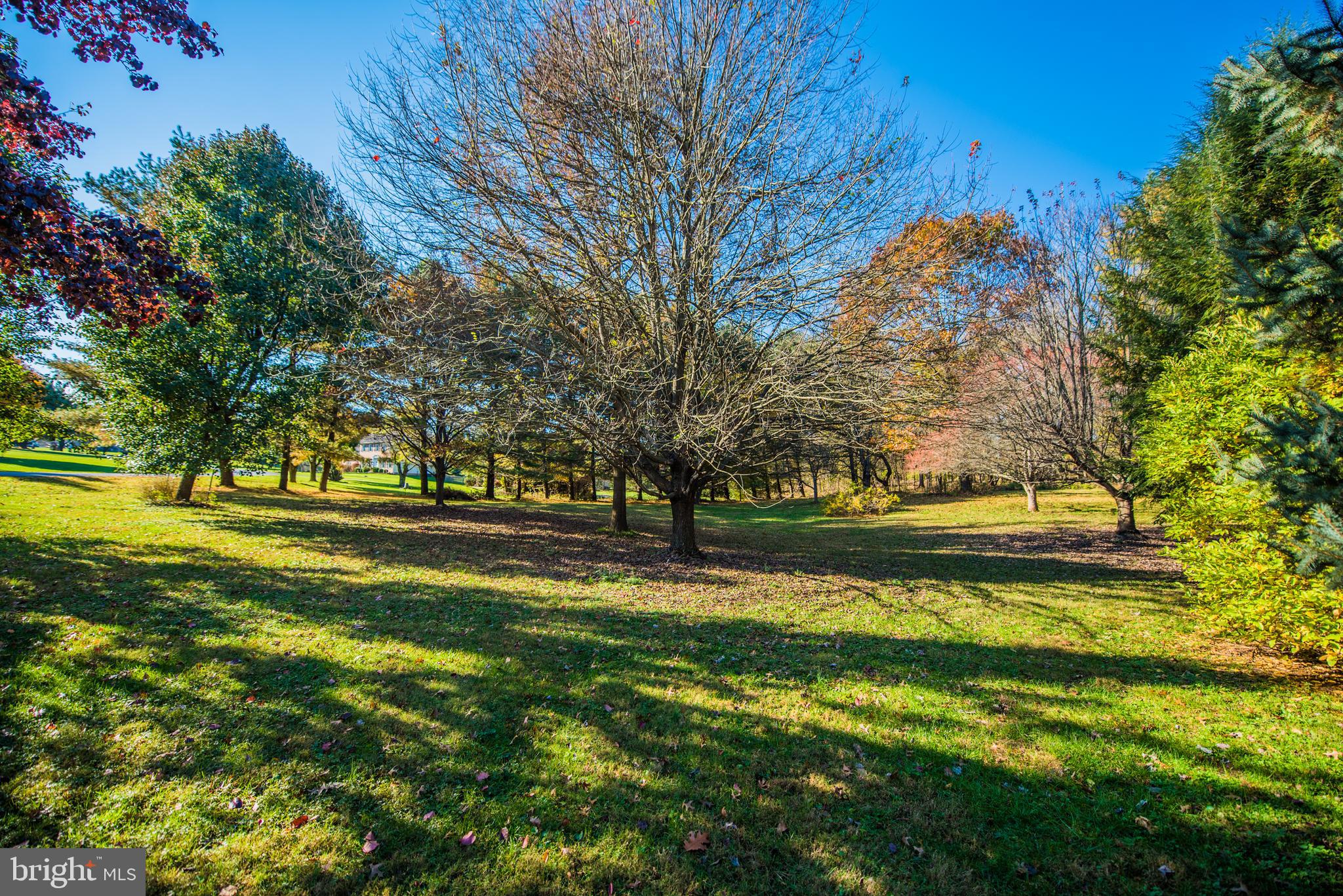 CHATEAU-GAI - Residential