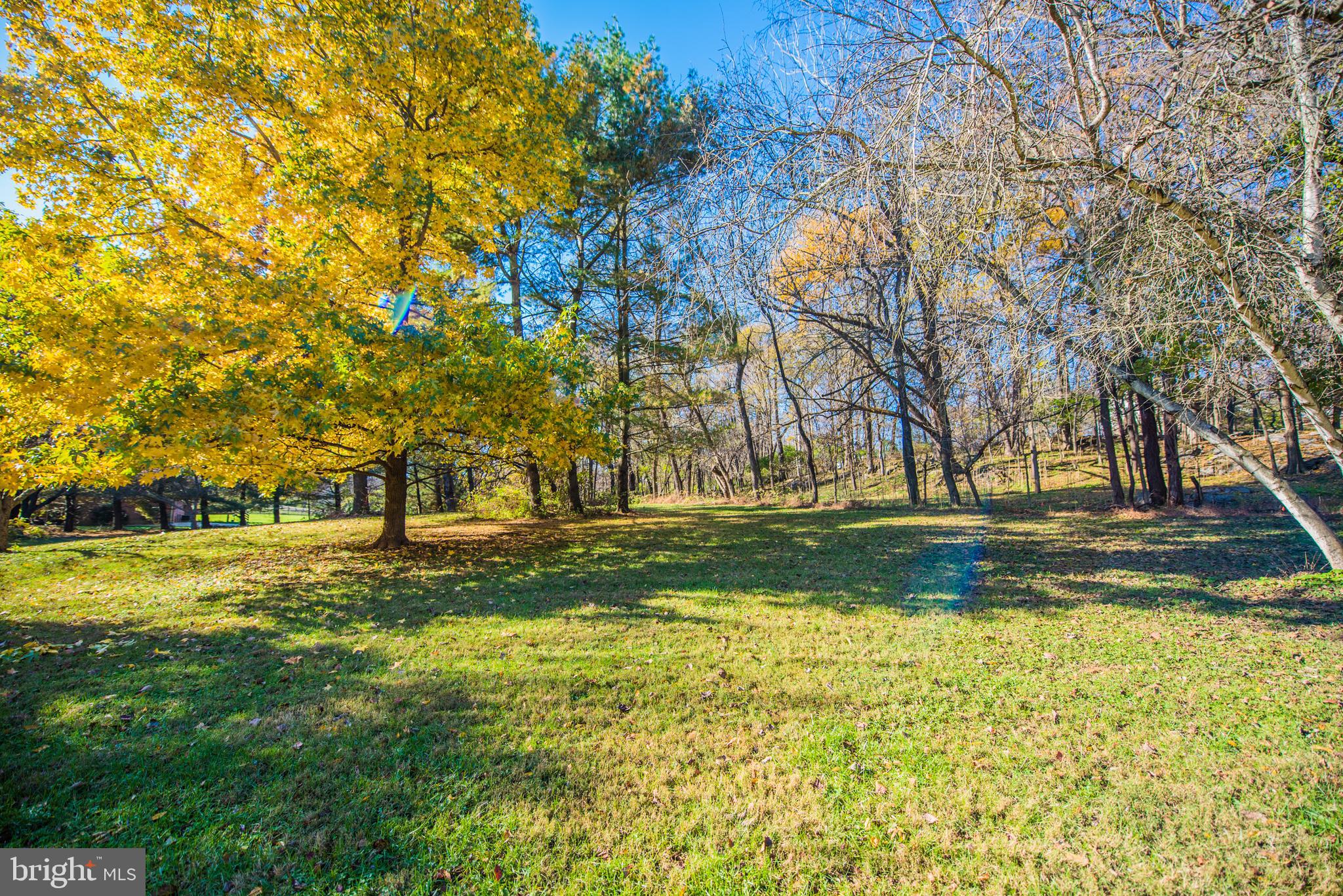CHATEAU-GAI - Residential