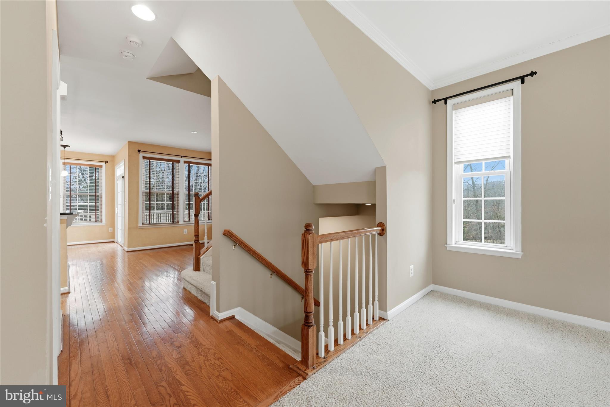 LORTON STATION SOUTH - Residential