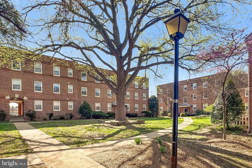 Major price reduction on this turn key, rarely available, sun filled corner unit,  overlooking the charming and peaceful courtyard.  Spacious and updated 2 bedroom, 1 bath home boasts hardwoods throughout, newly renovated bathroom, dual closets in Primary,  windows galore, and best of all..... an in-unit washer and dryer.   No more shlepping your laundry to the common laundry room!  Kitchen features updated cabinetry with granite countertops, stainless appliances and handy laundry center.  The open floor plan of the generously proportioned combination living and dining space allows for ample space for hosting dinners and entertaining family and friends.  Recently updated bath with marble topped vanity, chic lighting, ceramic flooring, extra cabinetry and a large tub/shower combination offers plenty of room for owner and guests.  Parking permit provided with unit, as well as a surplus storage unit for the unit.   There is always tons of free street parking for your guests convenience.  Many updates to include Bosch dishwasher, heat pump capacitor, refrigerator, smoke detectors and interior paint.  Located next to the Lee Rec Center - enjoy group classes, exercise, or games of pickleball.  Easy walk into Old Town and all of the many shops, eateries and historic treasures of this great city, while also enjoying the proximity to DC, major roadways and the Pentagon.  Make this cozy and sunny home yours today!
