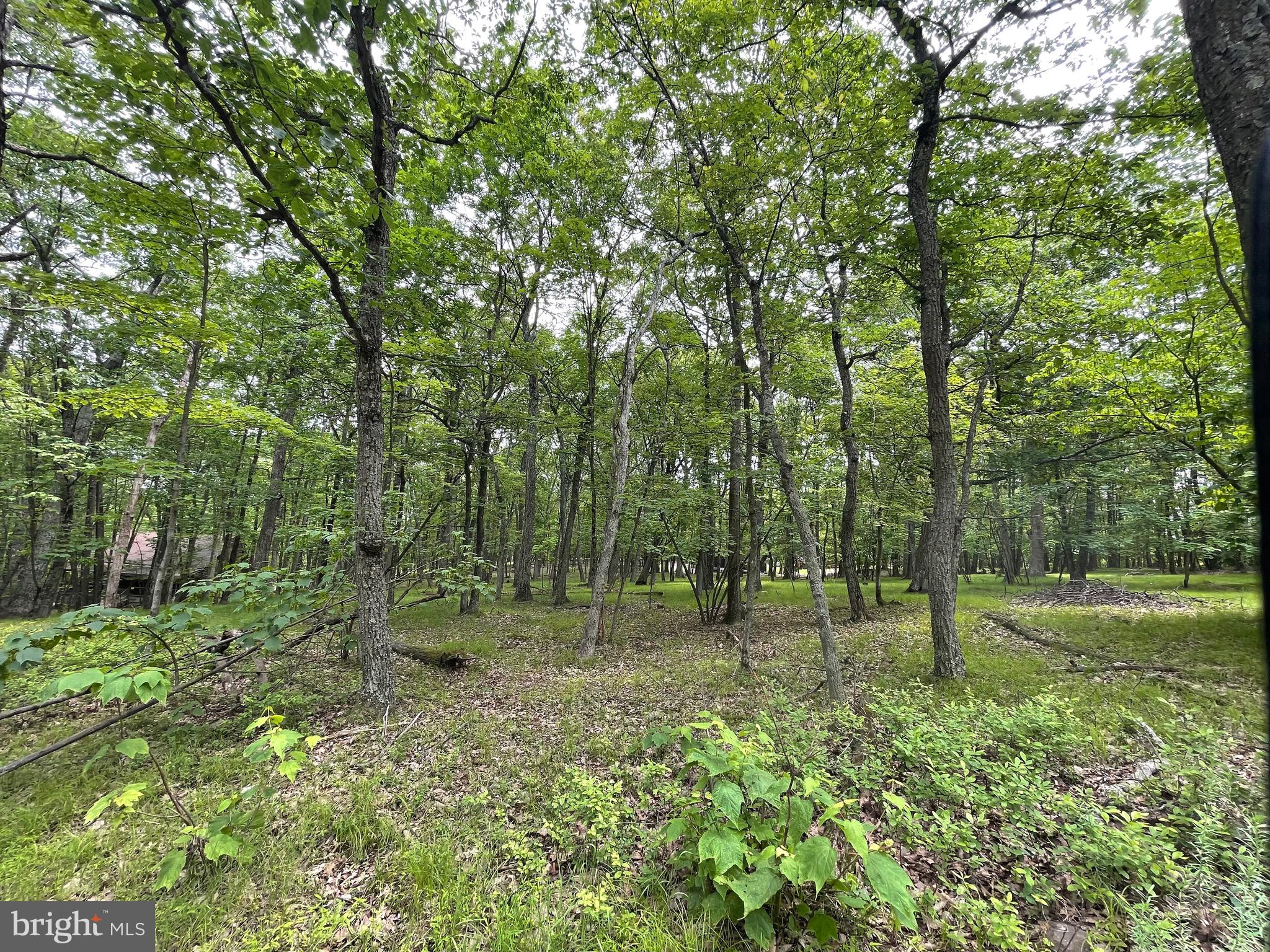 .6 acre level building lot in the COVE VILLAGE COMMUNITY! WAIT NO MORE! Let's build that dream home today on this low traveled street. The Cove Village Community is situated in the foothills of the Poconos and only 1 1/2 hours to New York, With easy access to I-81 your commute to Hazleton, Wilkes Barre, or Scranton is a breeze. Bring your own builder and let's get started. Another cost-saving perc of the community is having public water and sewer already in place and ready for you to connect through Aqua of Pa. 750 acres of unoccupied prime hunting, ATV, and snowmobile riding land surround the residential portion of Cove Village and is allocated only for the residents of the community and their guests! Driving through the community, the peace and tranquility will envelop you. At any given moment the deer, turkey, and birds will entertain you in your own backyard. Homes within the community vary from rustic cabins and chalets to traditional ranch or two-story homes and even exquisite new construction or dreamy mountain log homes. There really is something for everyone. The approximately 278 acres of residential homes and lots are occupied by full-time residents, part-time vacation homes, and even some snowbird second homes. Cove Village offers an abundance of amenities including a swimming pool, stocked fishing lake, a basketball court, tennis courts, a volleyball court, 2 playgrounds, a baseball field, ATV paths, hunting, a mini golf course, walking paths, and year-round Community events. I can't forget to mention the beautiful lodge ideal to rent for family gatherings. This lot and community just might be exactly what you've been looking for. Air B and B are not permitted. Camping on vacant lots is not permitted. Mobile homes are not permitted. The minimum square footage when building is 1400 square feet. The community maintains the roads and snow removal. Trash collection is also provided. An appointment is required to view due to the gated community. Call to schedule your tour today!