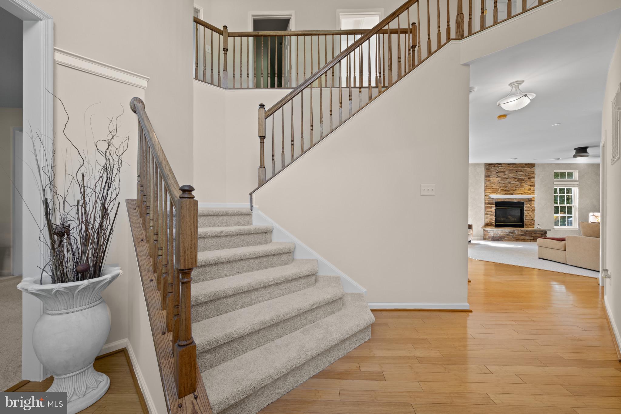 8511 HORSESHOE ROAD