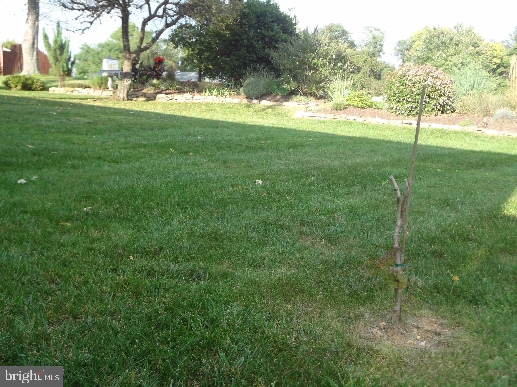 TOR-BRYAN ESTATES - Residential