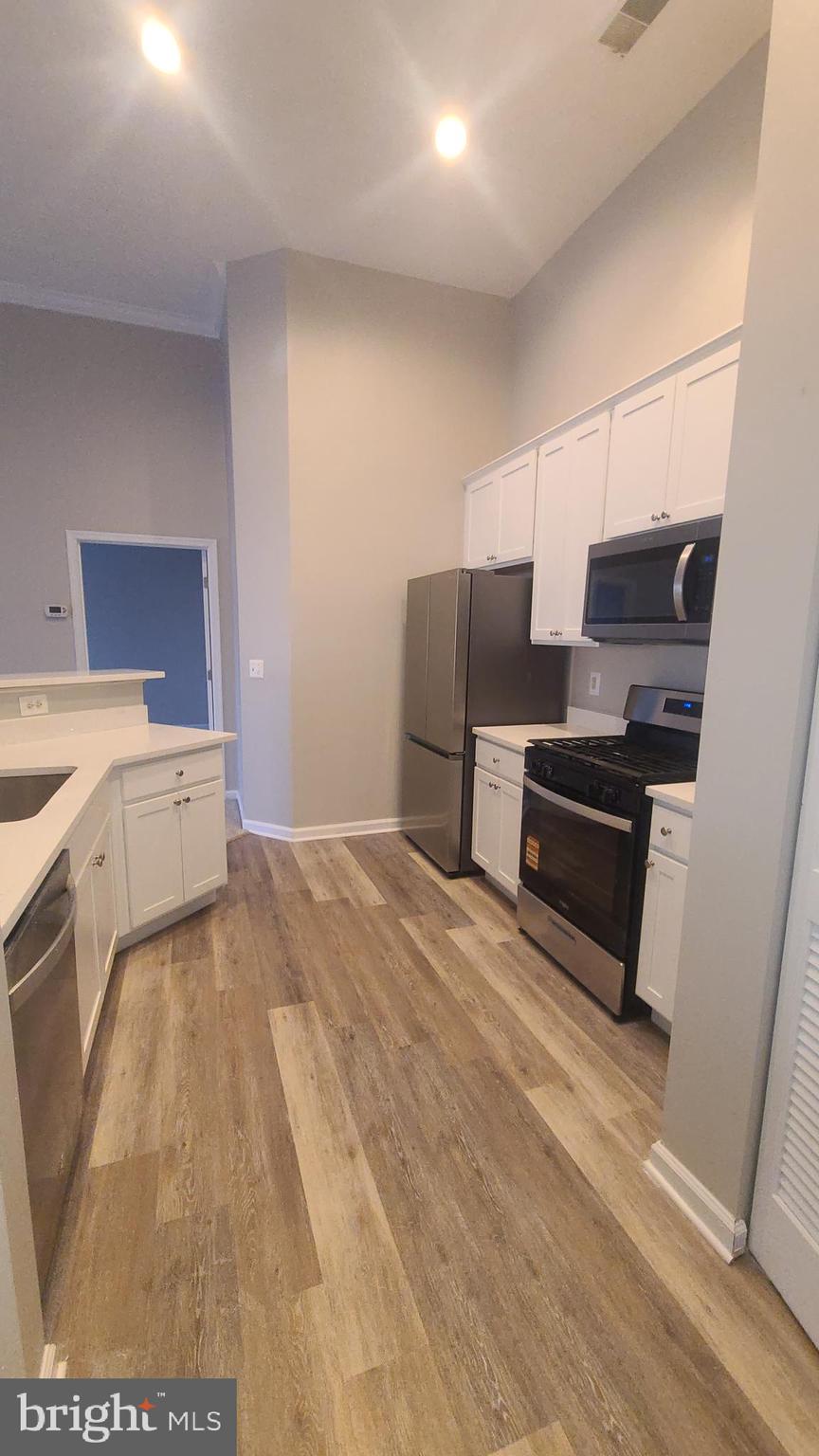 SILVER LAKE - Residential