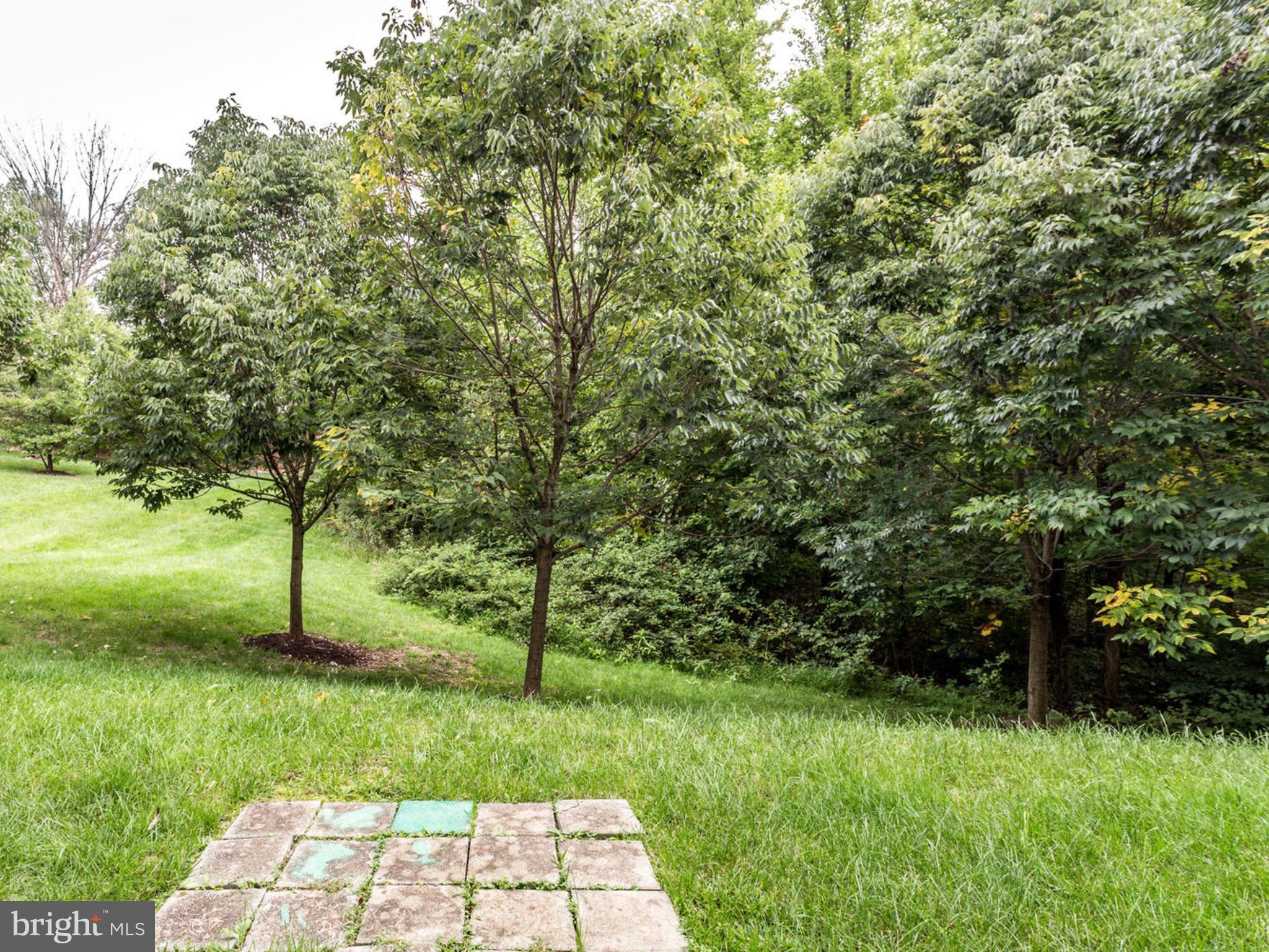 WATERS EDGE - Residential