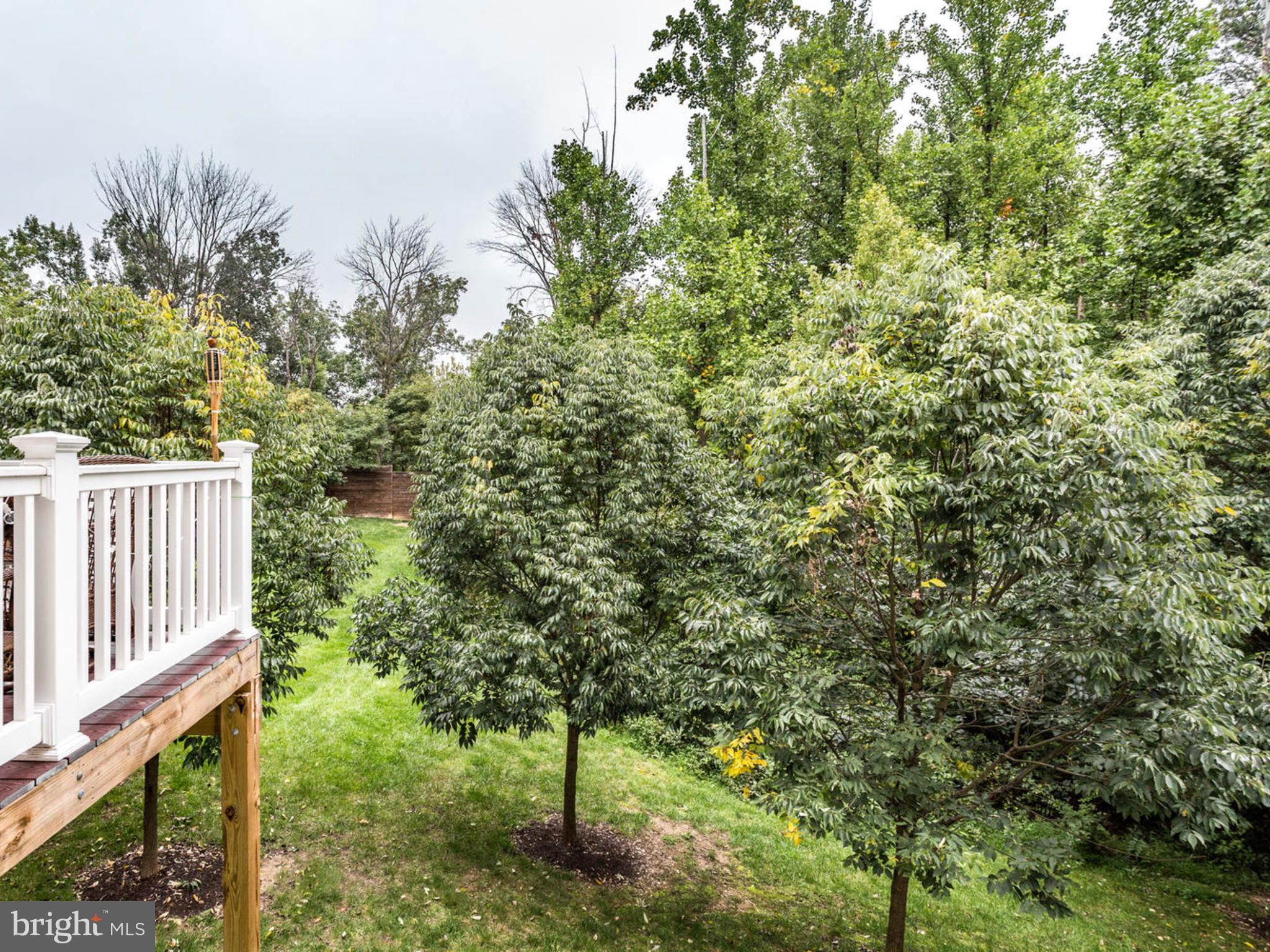 WATERS EDGE - Residential