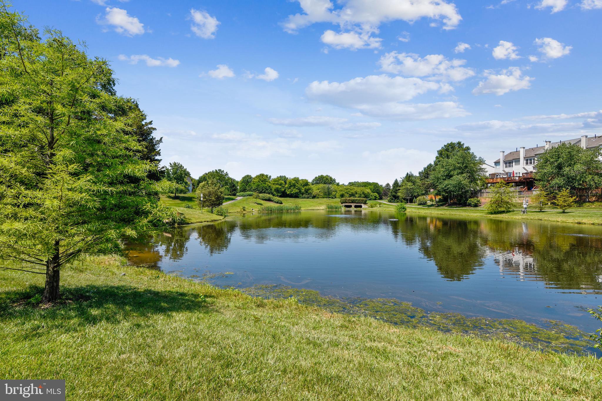 ASHBURN VILLAGE - Residential