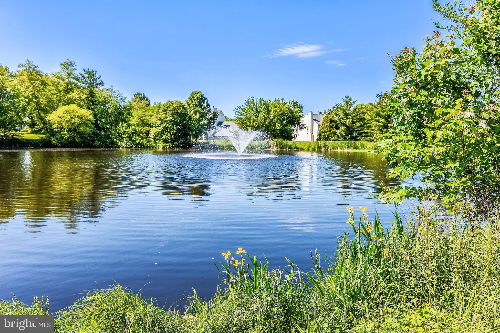 ASHBURN VILLAGE - Residential