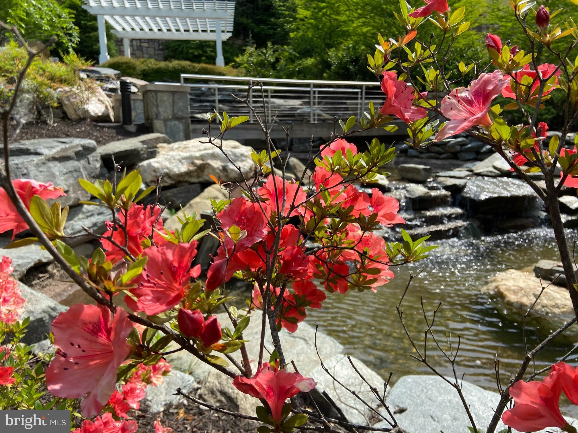 QUARRY SPRINGS - Residential