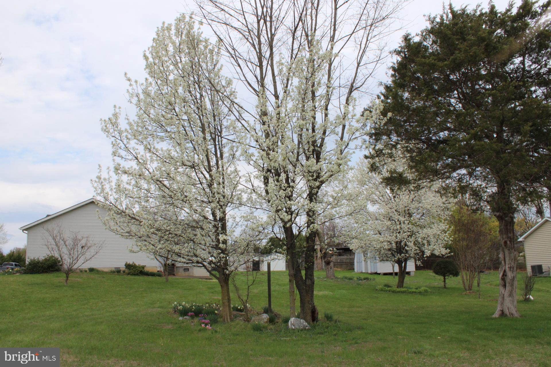 INWOOD EAST - Residential