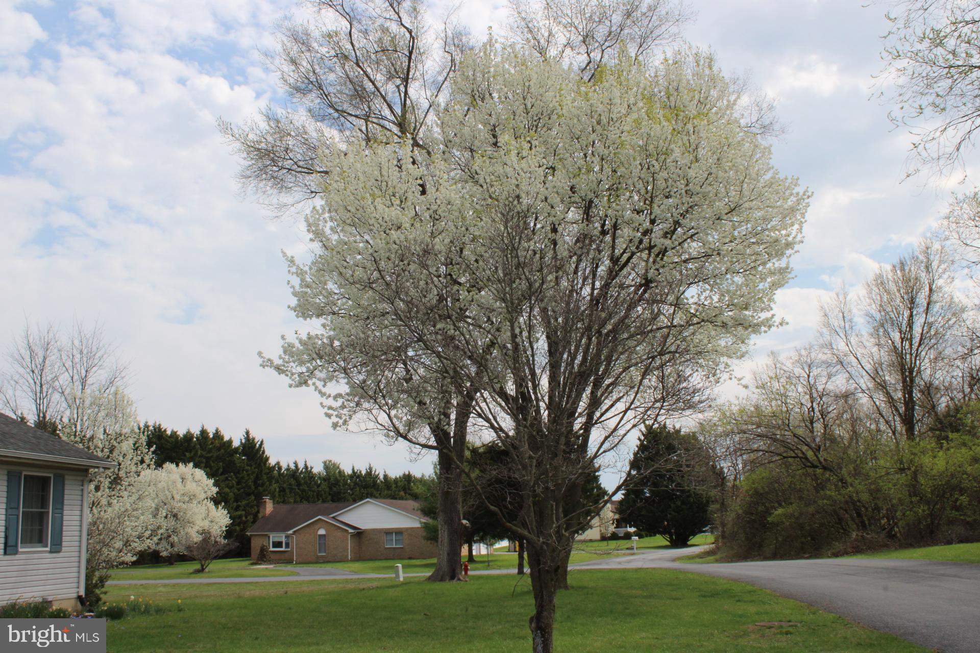 INWOOD EAST - Residential