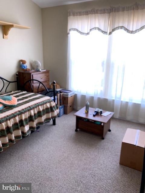 BELDALE COURTS - Residential