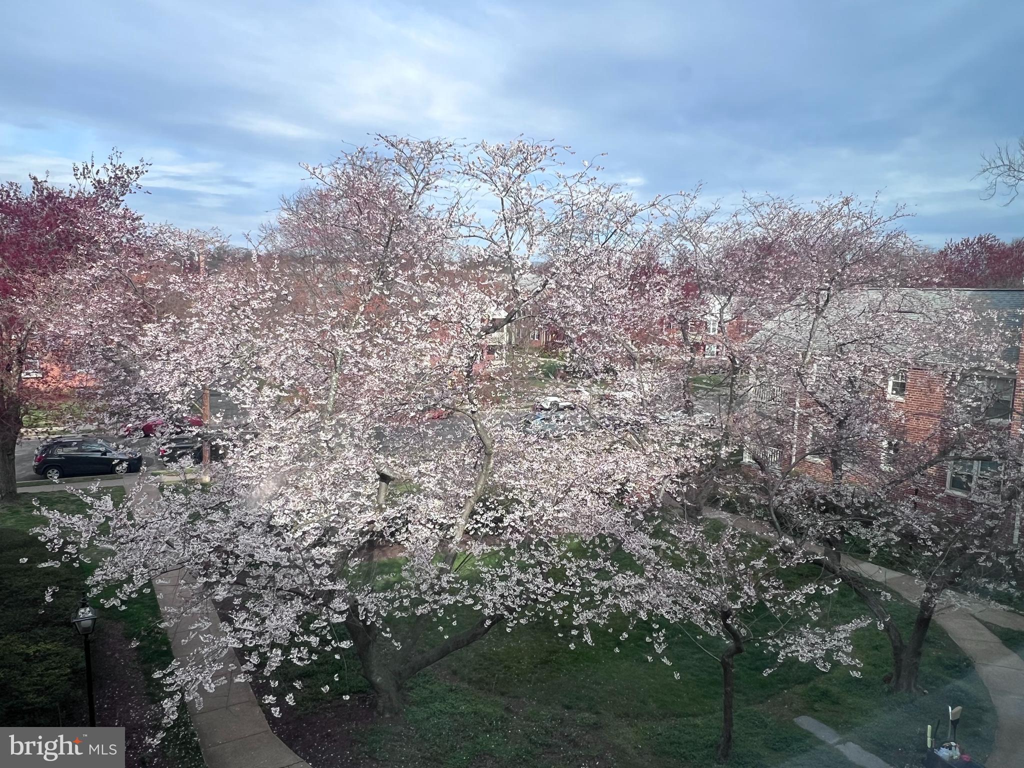 BELLE VIEW - Residential