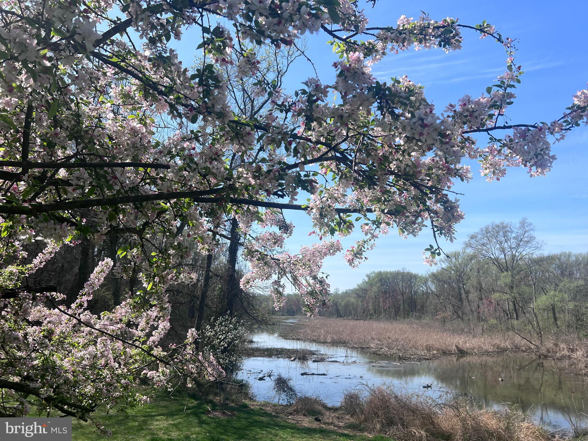 BELLE VIEW - Residential