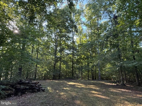Vacant Land For Sale - LOT 79B Everett Ln<br/> LOUISA, VA 23093