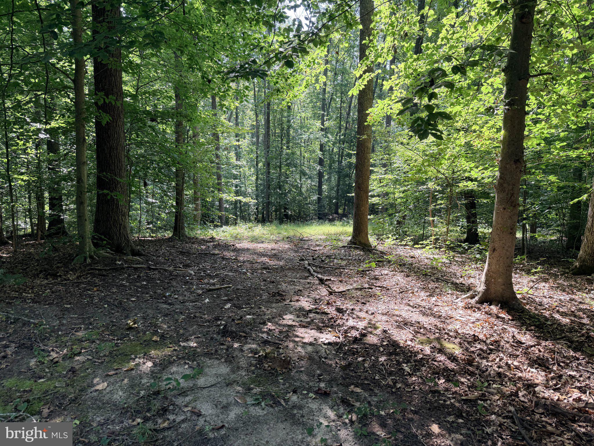 Lot 79B EVERETT LN