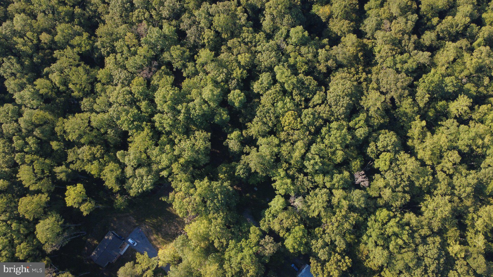 Lot 79B EVERETT LN
