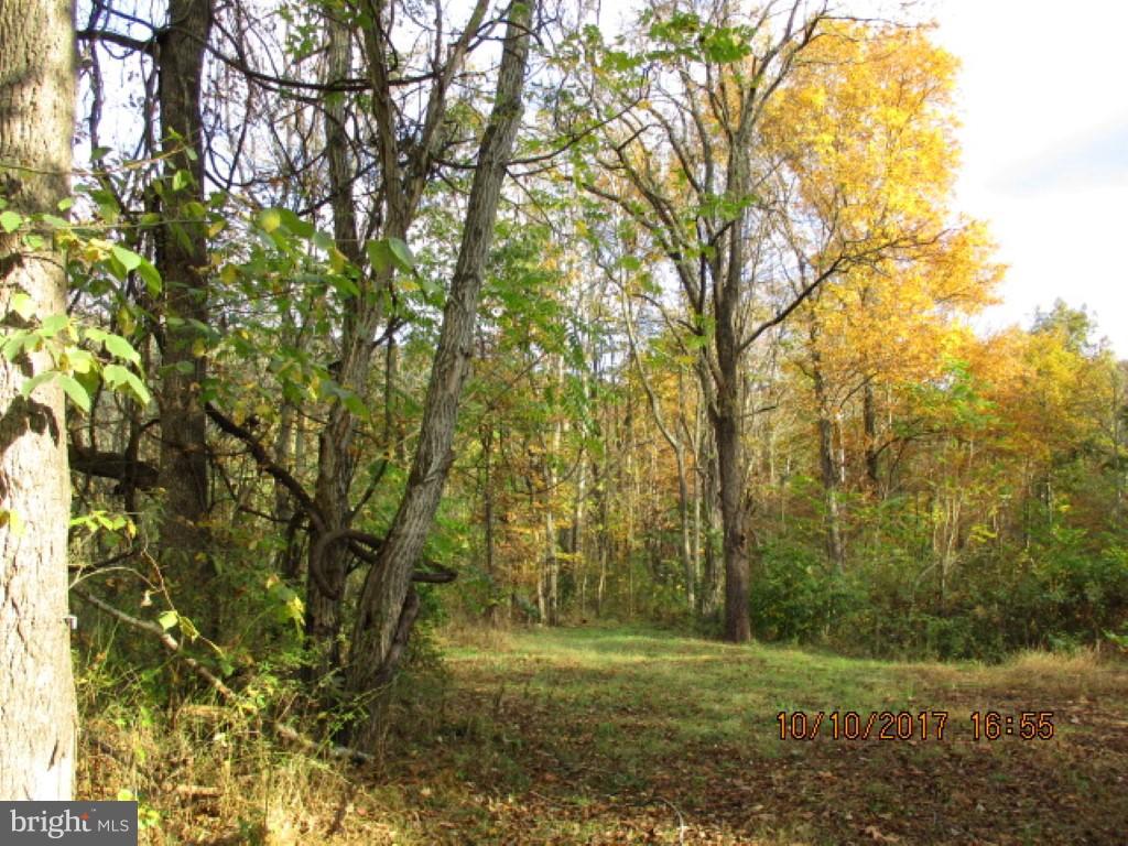 Wooded 2 acre river front property. Come and bring your camper or perfect for building that weekend retreat you have be looking for. Enjoy wading, fishing in the North River or just sitting by the campfire watching the stars in the clear sky.