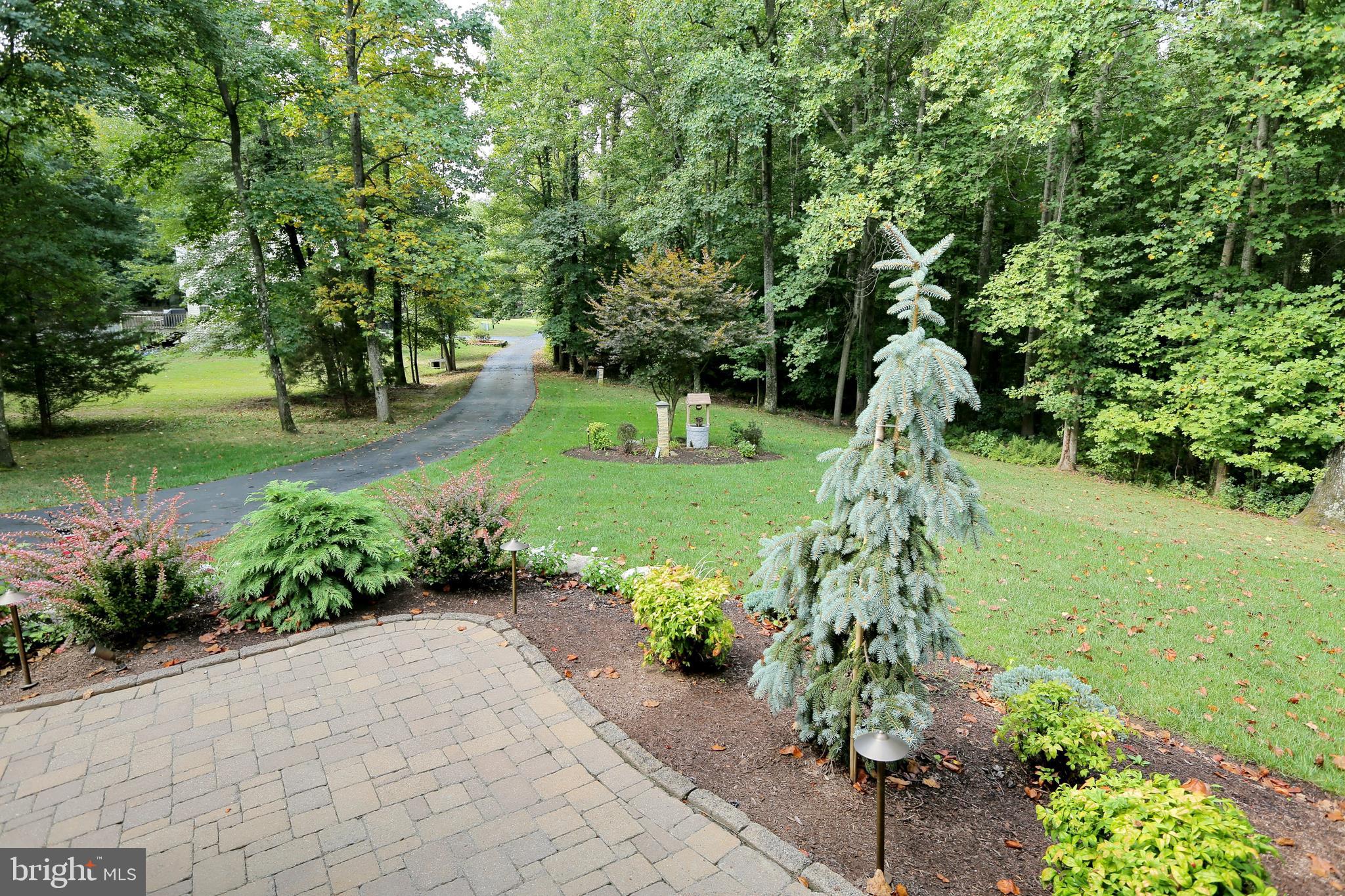 SPRINGHAVEN WOODS - Residential