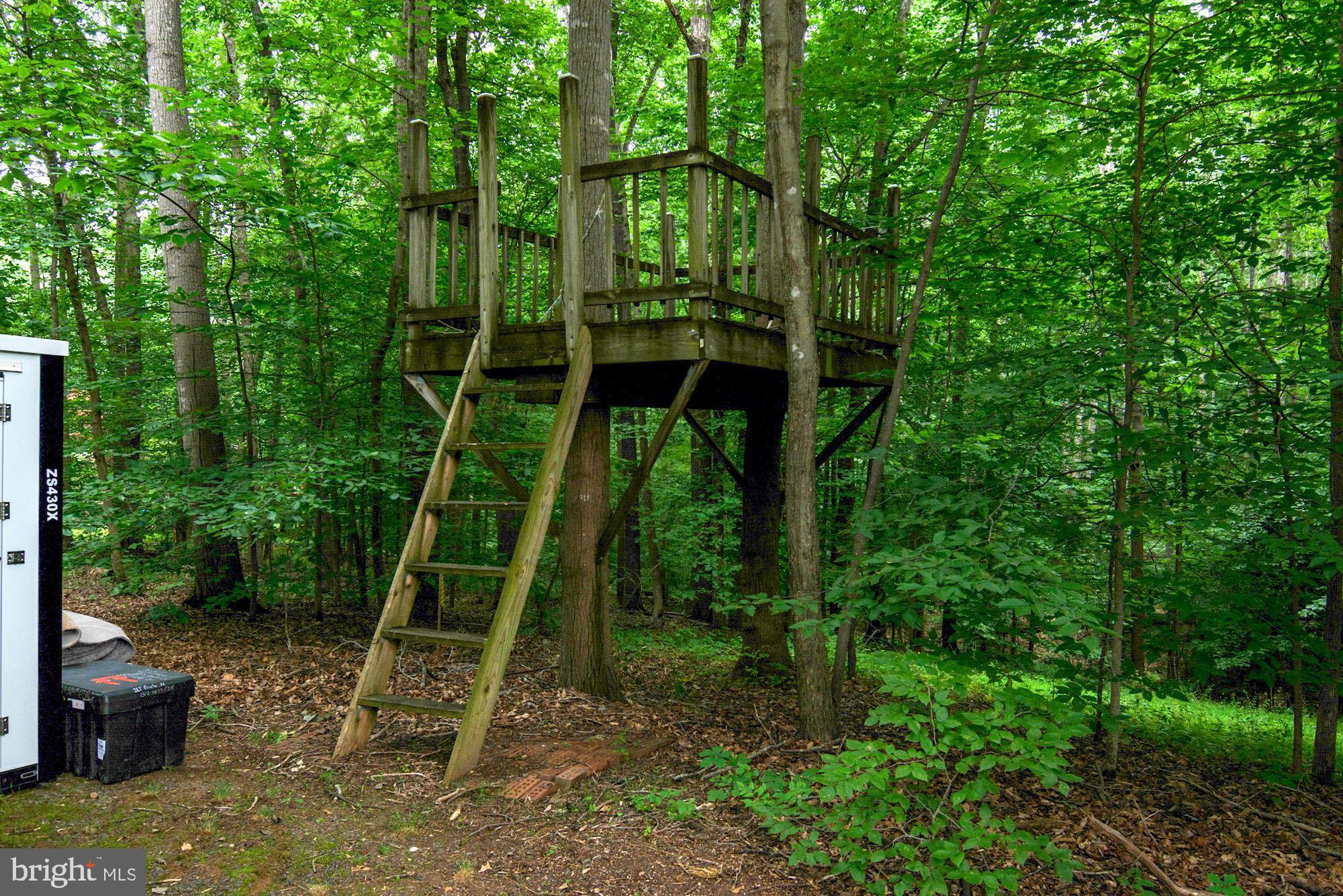 RAINTREE - Residential