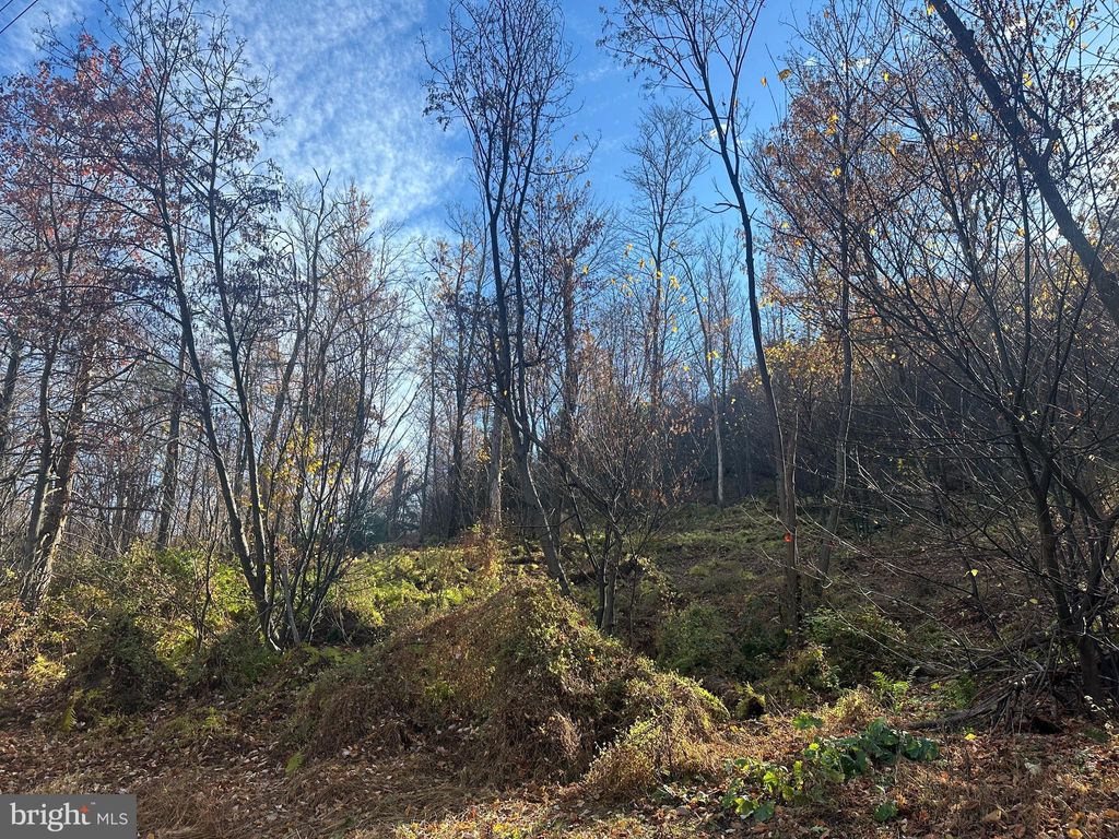 Photo of Wild Turkey Dr., SPRING MILLS, PA 16875 (MLS # PACE2516836)