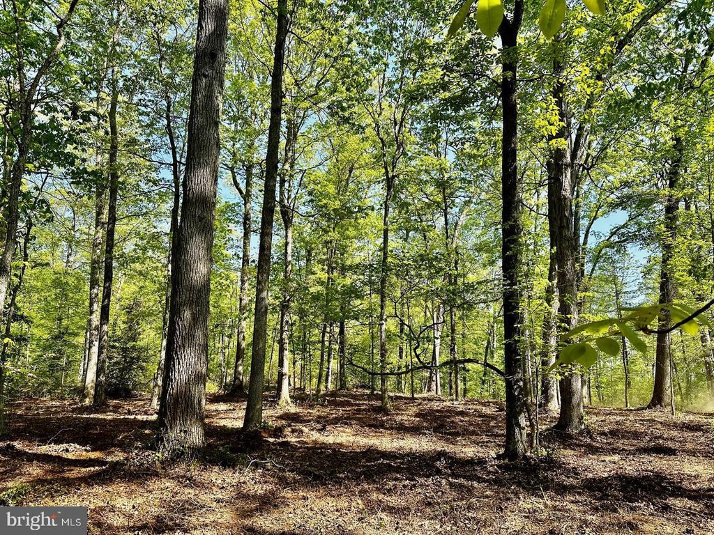 Photo of 13121 Bristow Road, NOKESVILLE, VA 20181 (MLS # VAPW2119152)