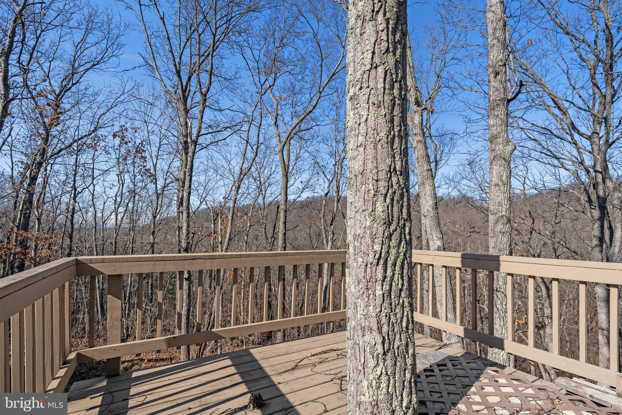 SHENANDOAH FARMS - Residential