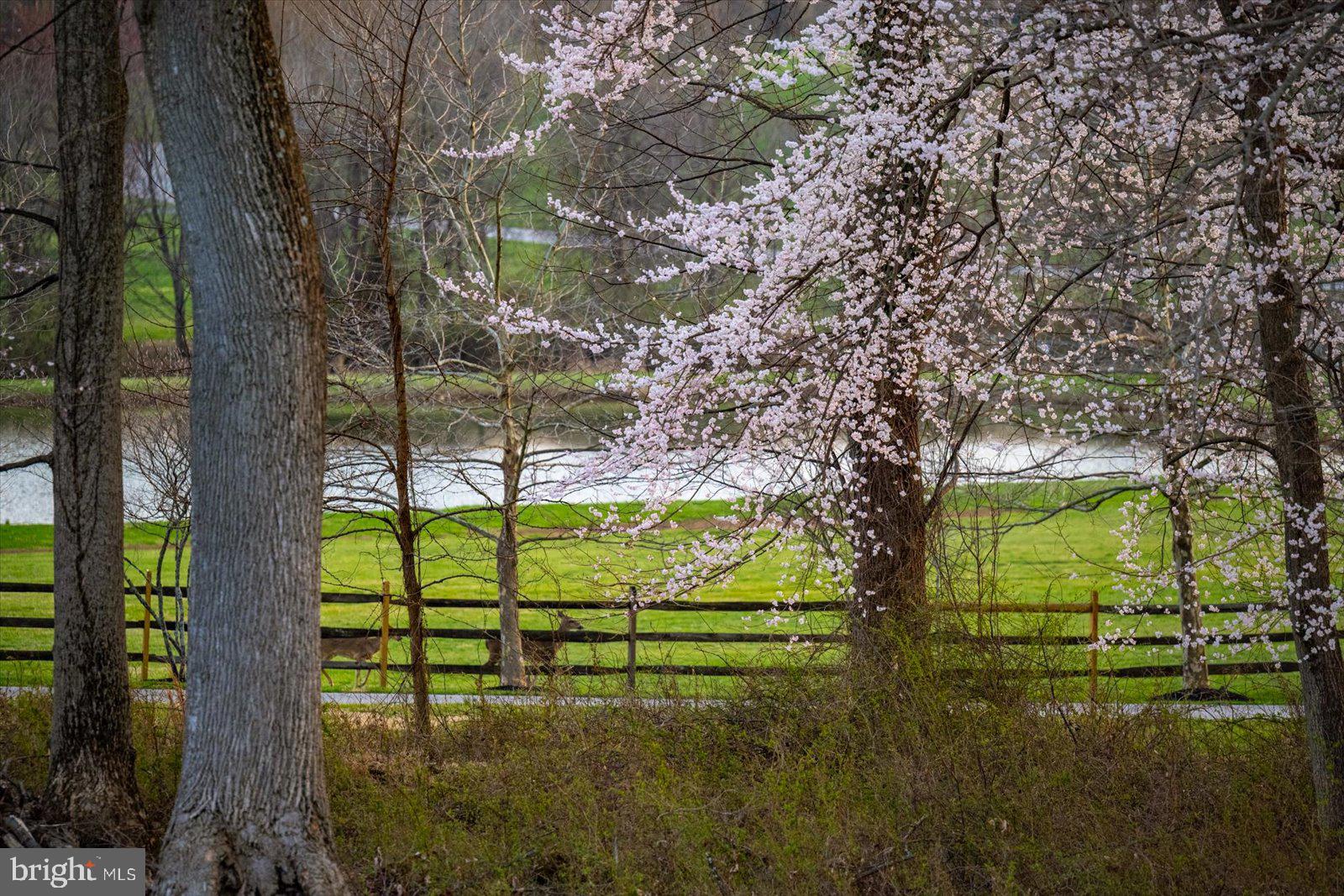 THE PRESERVE AT CLARKSVILLE - Residential