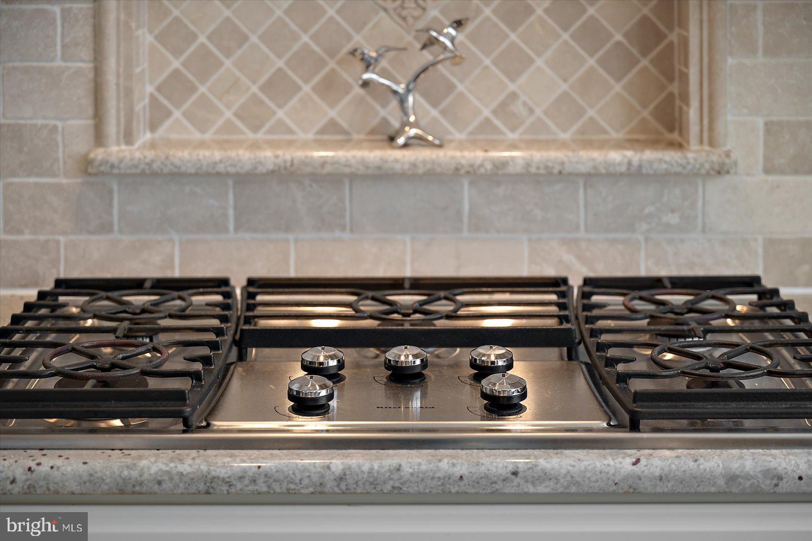 THE PRESERVE AT CLARKSVILLE - Residential