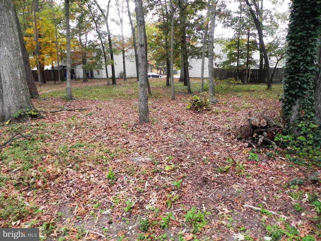 ST CHARLES SUB - BANNISTER - Residential Lease