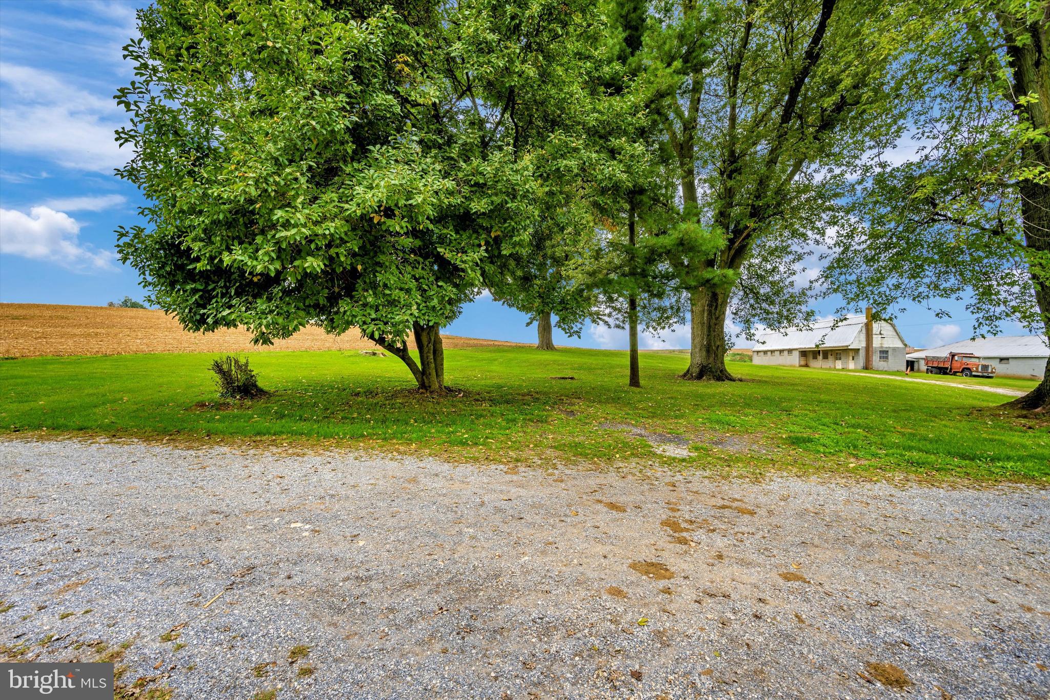 NONE AVAILABLE - Farm