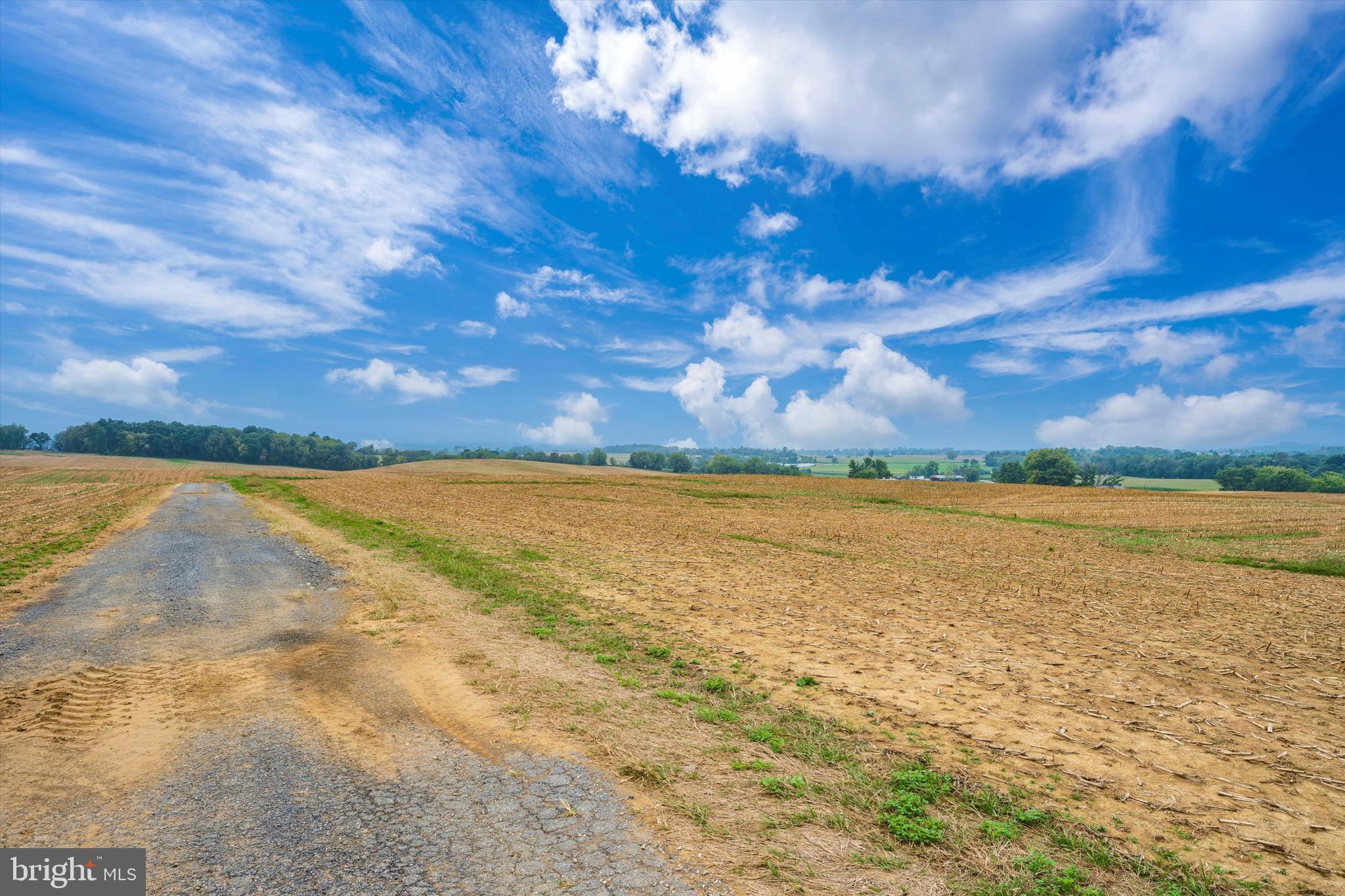 NONE AVAILABLE - Farm