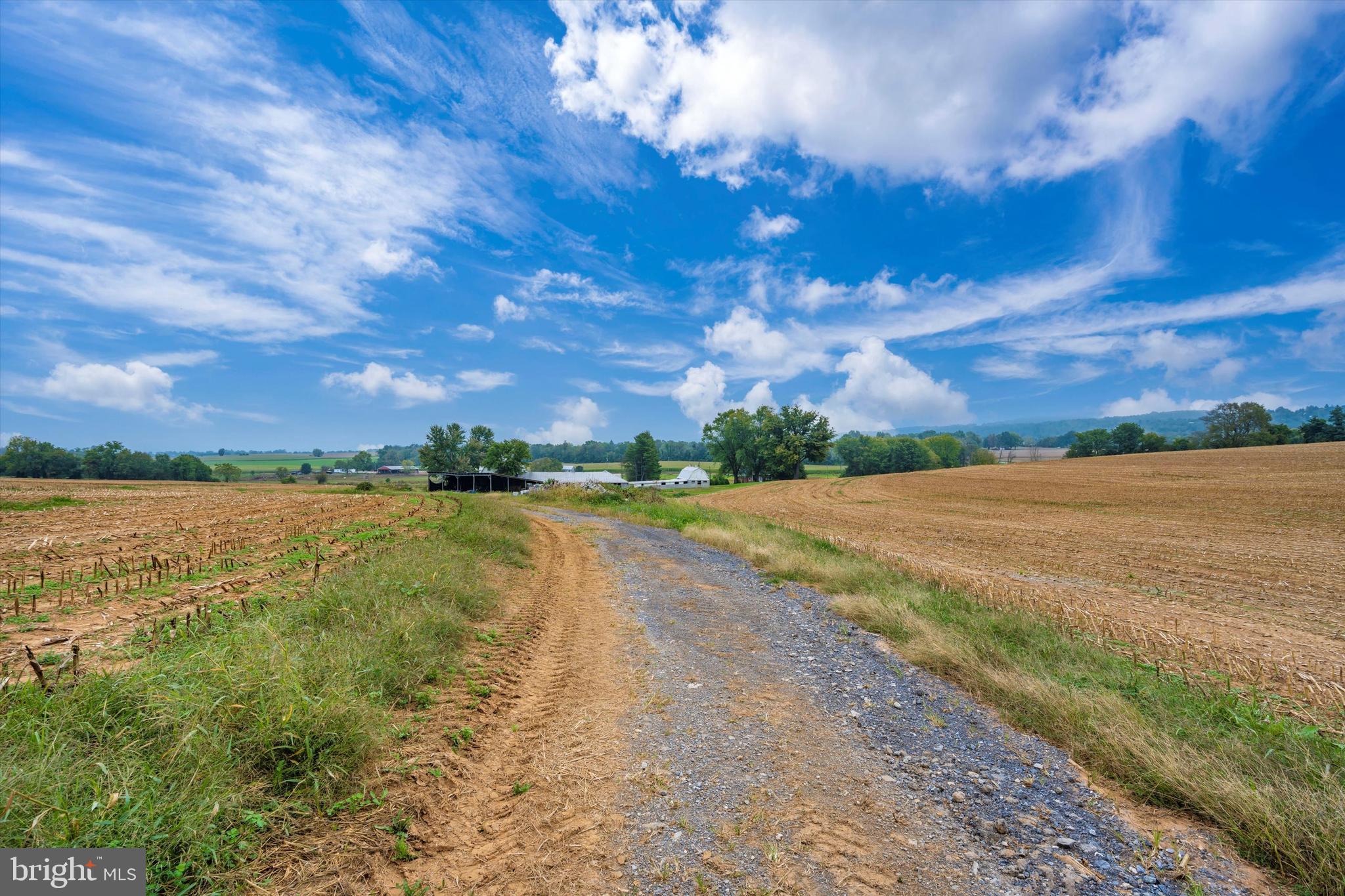 NONE AVAILABLE - Farm