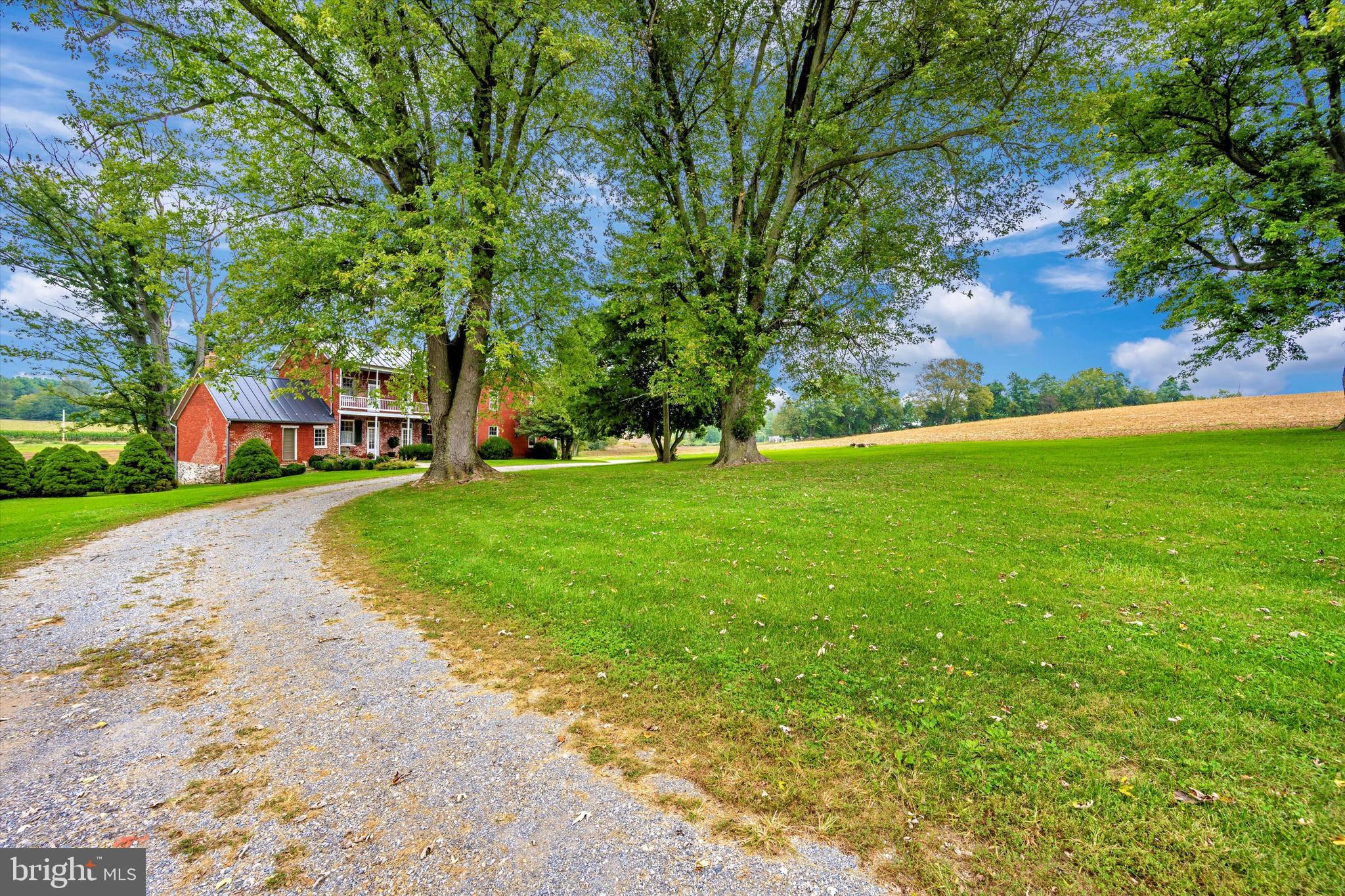 NONE AVAILABLE - Farm